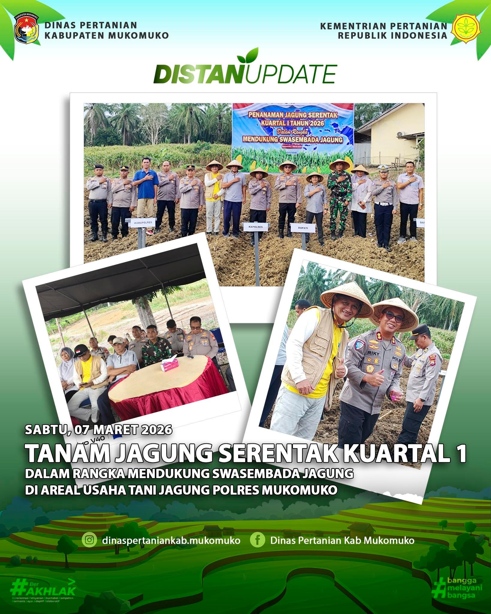 Tanam Jagung Serentak Kuartal 1